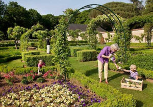 25 GARDENING TIPS EACH AND EVERY GARDENER REALLY SHOULD KNOW