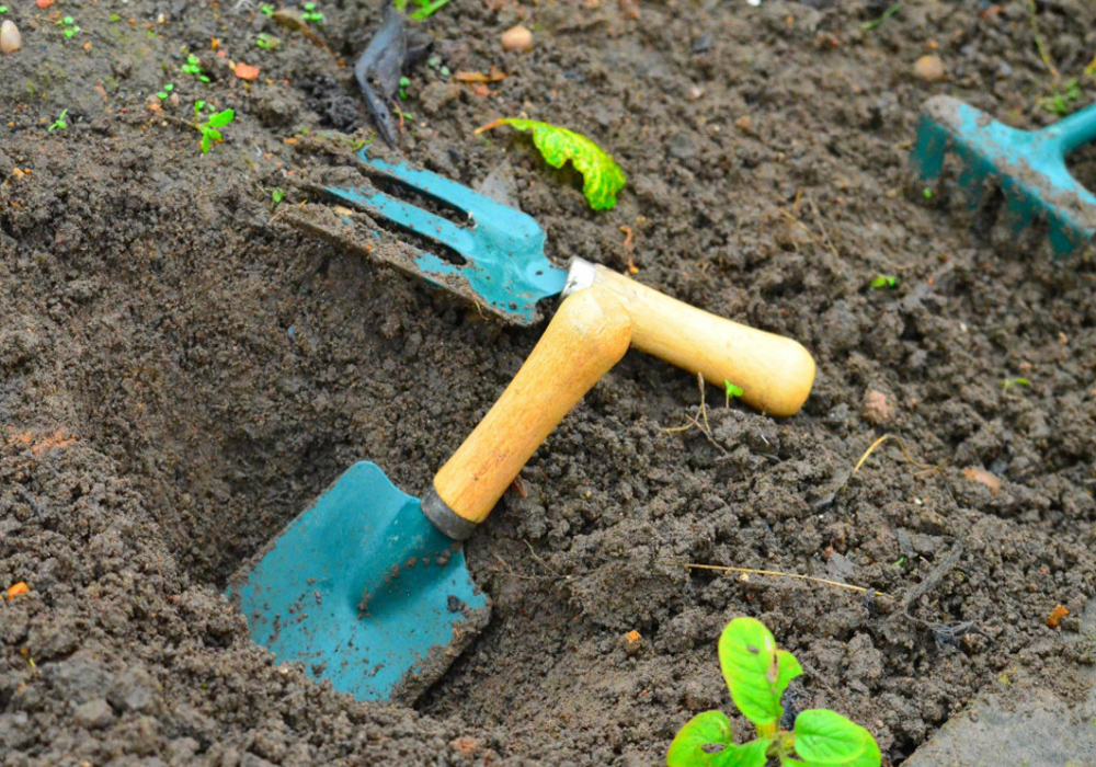 Garden Equipment – What Do You Really Need