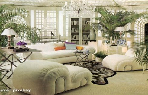 Healthy and Refreshing Living Room Arrangement