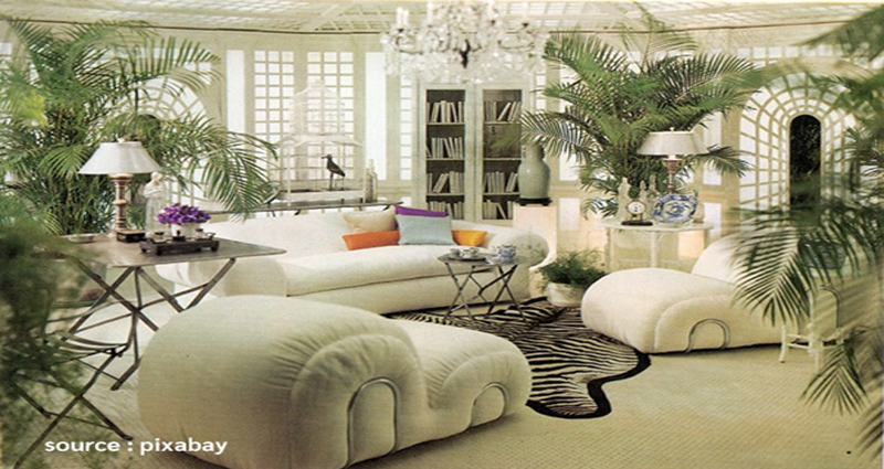 Healthy and Refreshing Living Room Arrangement