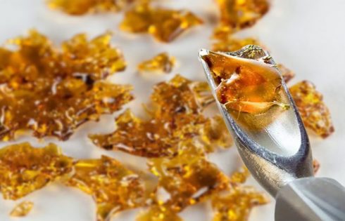 Some Facts About Solventless Extracts