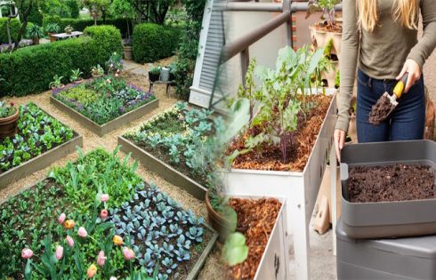 Budget-Friendly DIY Vegetable Garden Plans for Small Spaces