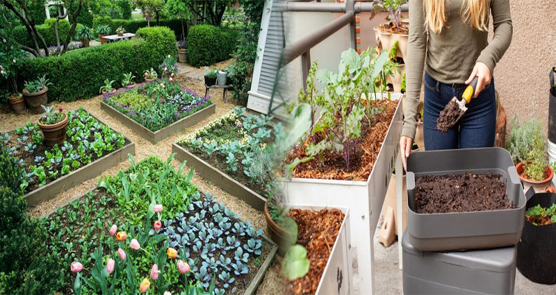 Budget-Friendly DIY Vegetable Garden Plans for Small Spaces