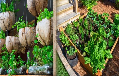Creative Low-Cost Raised Bed Vegetable Gardening Solutions