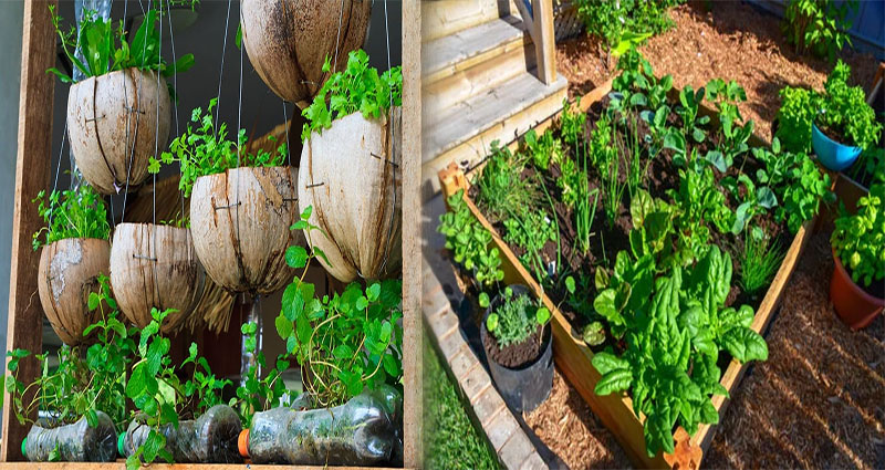 Creative Low-Cost Raised Bed Vegetable Gardening Solutions