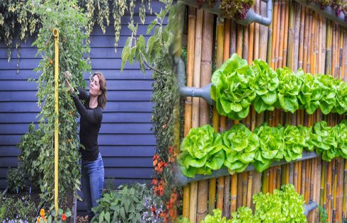 Economical Vertical Vegetable Garden Designs for Urban Dwellers