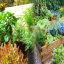 Frugal Organic Vegetable Gardening Tips for Sustainable Living